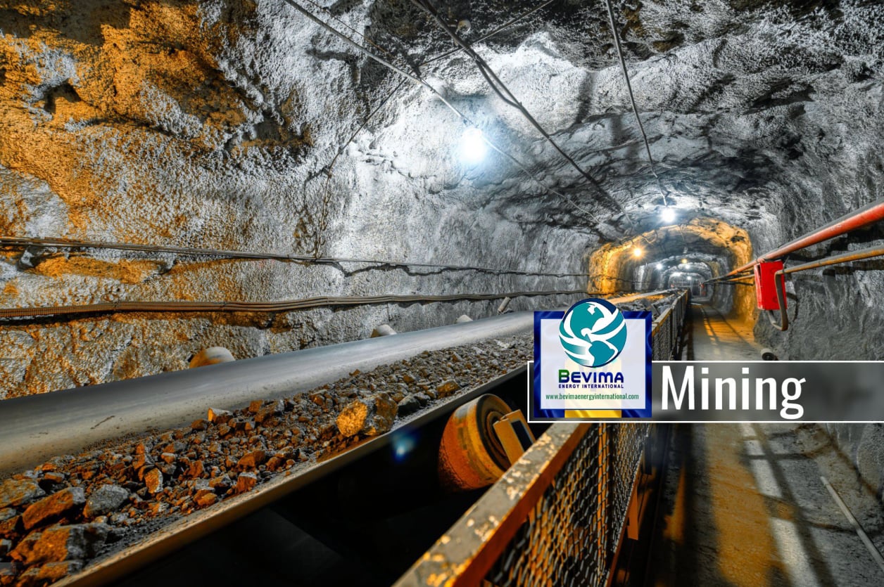 Mineral Resources